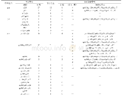 表3 不确定结果标本的WB带型分布及阳转情况