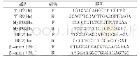 表1 目的基因TLR9、My D88、IRF7及内参基因β-actin的引物序列
