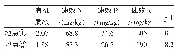 表1 试验地土壤状况：中量元素水溶肥在番茄上的肥料效应田间试验