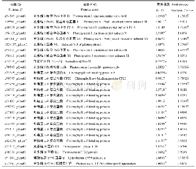 《表2 光合作用相关差异表达蛋白》