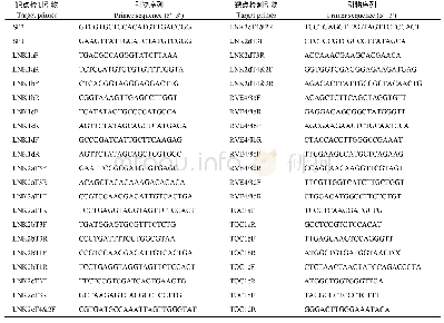 表3 靶点检测引物：大豆生物钟基因GmLNK1/2、GmRVE4/8和GmTOC1 CRISPR/Cas9组织表达分析及敲除靶点的鉴定