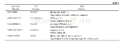 表2 茶树CsHXK2基因启动子的主要顺式作用元件