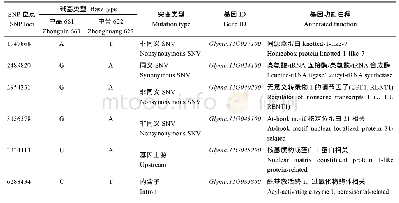 表5 2种方法共定位区间内亲本之间SNP类型