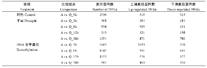 表3 干旱、DNA去甲基化处理下不同品系间差异表达基因数量