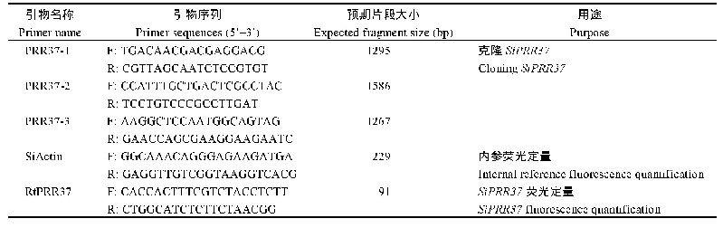 表1 特异性引物：谷子SiPRR37基因对光温、非生物胁迫的响应特点及其有利等位变异鉴定