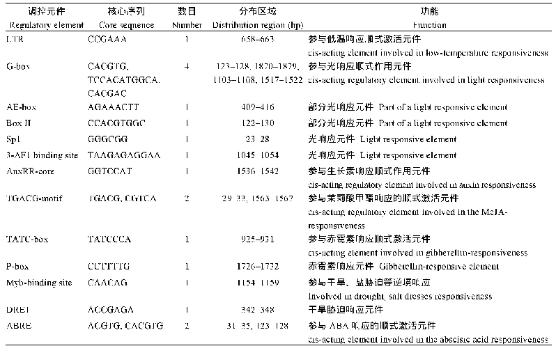 表2 Si PRR37启动子区顺式作用元件分析