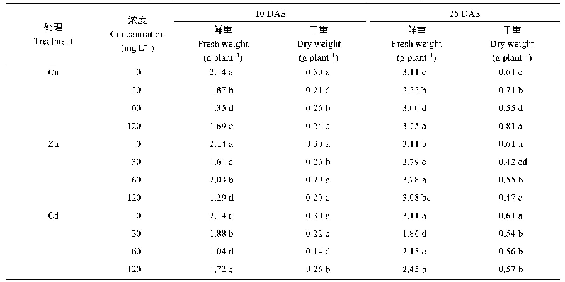表1 重金属处理下蓖麻幼苗植株的鲜重和干重变化