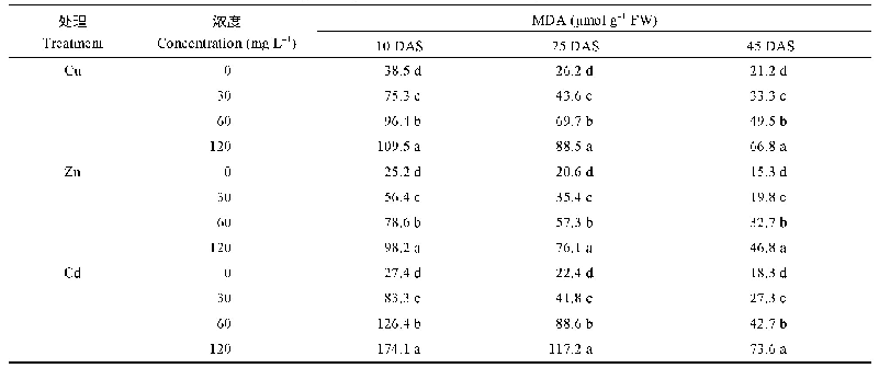表3 不同重金属处理下各时期蓖麻叶片的丙二醛含量