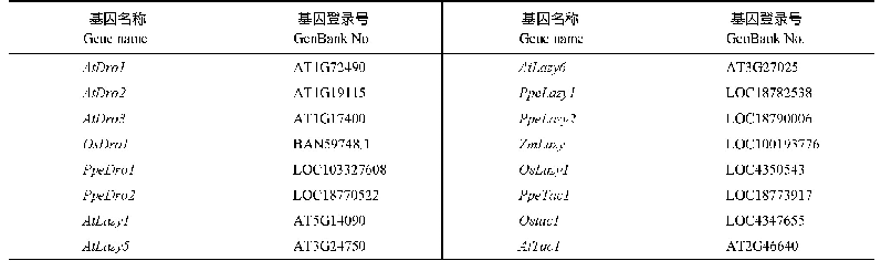 表1 拟南芥、桃、玉米与水稻Igt基因登录号