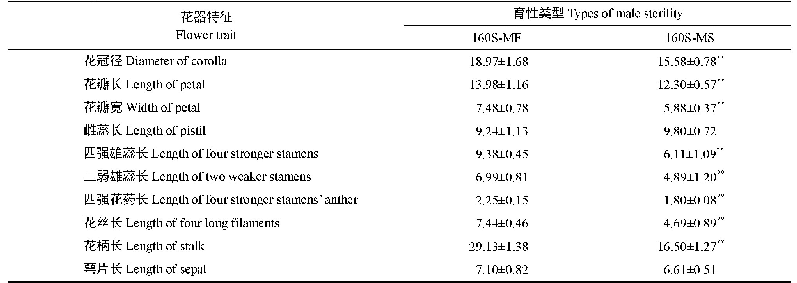 表1 160S-MF和160S-MS的花器性状比较