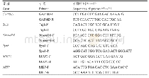 《表1 神经元、少突胶质细胞RT-PCR引物序列》