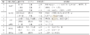 表1 11个村庄样本概况汇总表