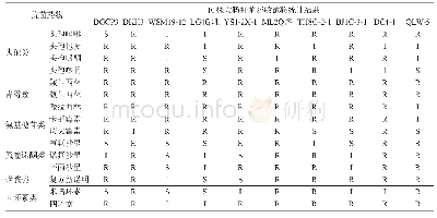 《表6 药敏试验结果：鸡源致病性大肠杆菌的分离鉴定及药敏试验》