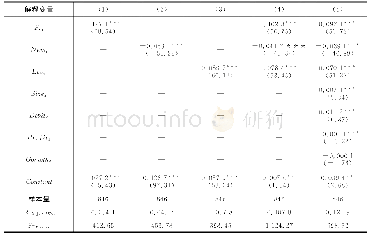 表5 式（3）估计结果：国有企业政府隐性担保对社会资源非对称影响效应研究