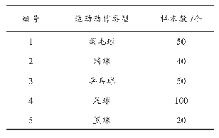 表1 运动动作类型以及样本数