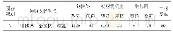 《表1 隧道标准段支护参数mm》