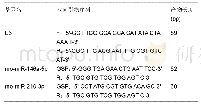 《表2 miR-210和miR-146a以及U6的基因序列》