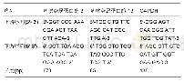表1 PCR引物序列：富血小板血浆调节滑膜炎保护软骨细胞