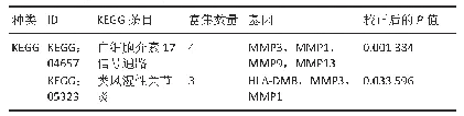 表2|两组样本滑膜中差异表达基因富集的KEGG通路