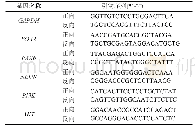 《表1 引物序列：丁苯酞对神经干细胞向神经细胞分化的促进作用》