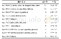 表2 差异表达基因KEGG通路分析结果