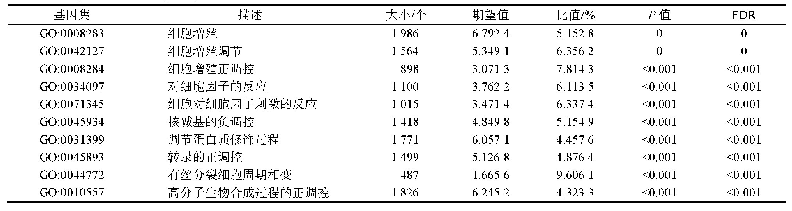 表1 前10位的GO生物过程富集