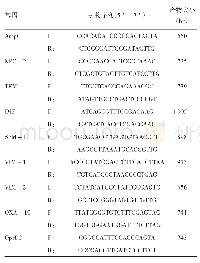 《表1 PCR扩增引物序列和产物长度》