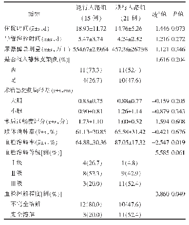 表2 两组患者手术指标和近期疗效的比较