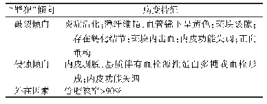 表2 临床“罪犯”倾向的易损斑块特征[5]