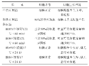 表2 两种浸提条件下的细胞形态显微镜观察结果