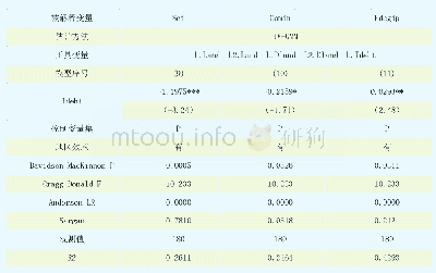 表6 考虑内生性问题后的(2)式回归结果