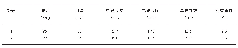 表4 不同处理棉花植株农艺性状