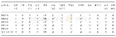 表1 参试加工番茄品种（系）生物学特性