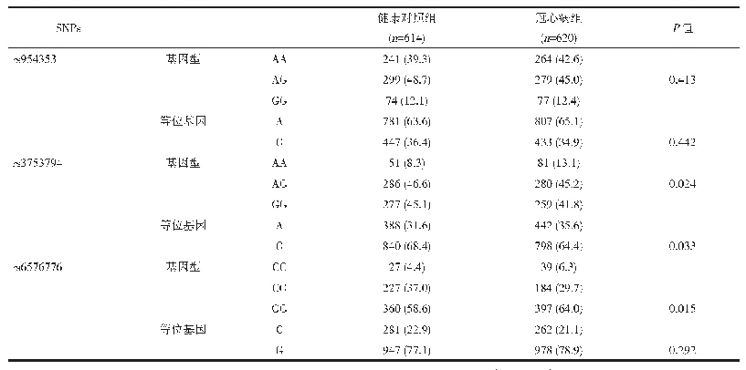 表3 CCN1基因多态性位点基因型和等位基因的分布频率