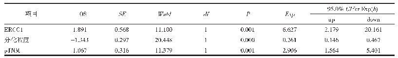 表3 Cox多因素分析NSCLC患者总生存期