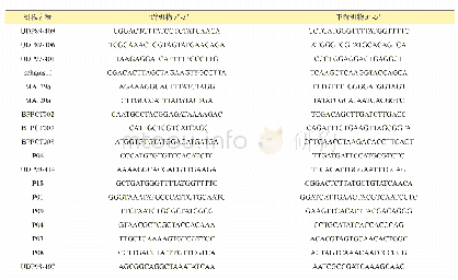表4 SSR引物序列信息表