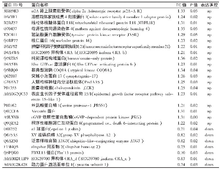 《表1 孕期慢性应激子鼠脑海马组织差异蛋白分析结果》