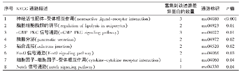 表2 孕期慢性应激子鼠脑海马组织差异蛋白KEGG富集分析结果