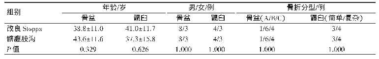 表1 改良Stoppa组与髂腹股沟组一般资料对比