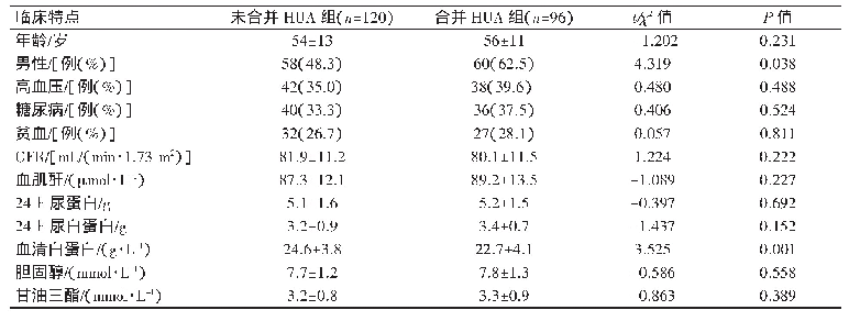 表1 合并与未合并HUA的IMN患者临床特点比较