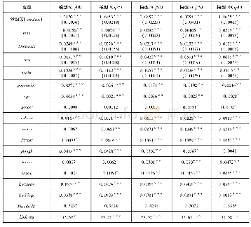 表5 稳健性检验的分位回归估计结果