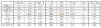 表3 高频关键词Ochiai系数相似矩阵