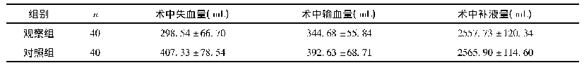 表1 两组术中一般资料比较