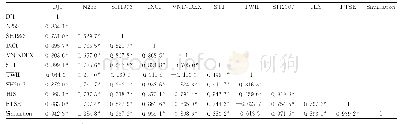 表1 模拟数据与10次股灾数据的Spearman相关性分析结果