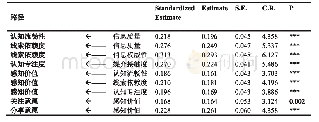 表5 重大主题新闻对外传播受众影响机制模型路径标准化系数估计