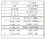 表3 本文所用网络流量数据集的主要特征