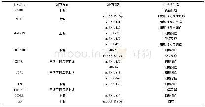 表1 AMI后lncRNA表达情况与相关调控通路及其生物学功能