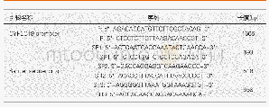 表1 用于PCR和Sanger测序的引物序列