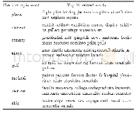 表3 主题最高代表词相关的前10个词