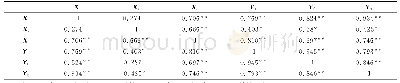 表2 各省市水污染治理模型投入产出指标的相关系数矩阵
